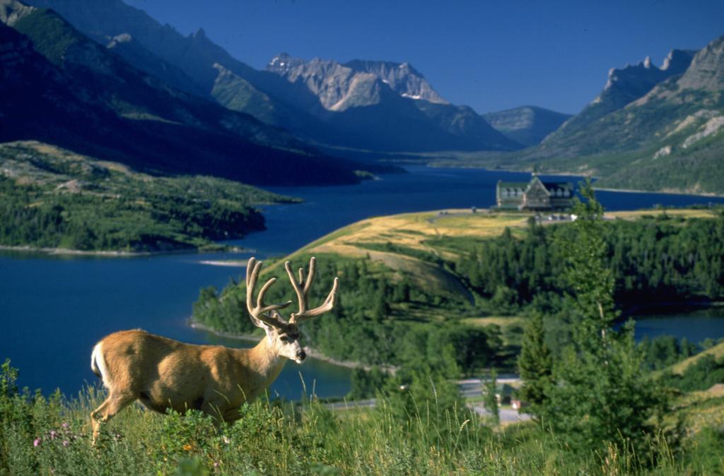 Bayshore Inn & Spa Waterton Park Exterior photo