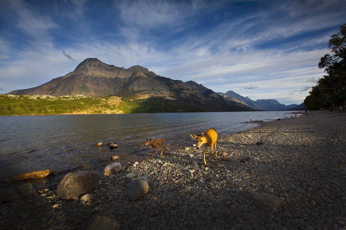 Bayshore Inn & Spa Waterton Park Exterior photo